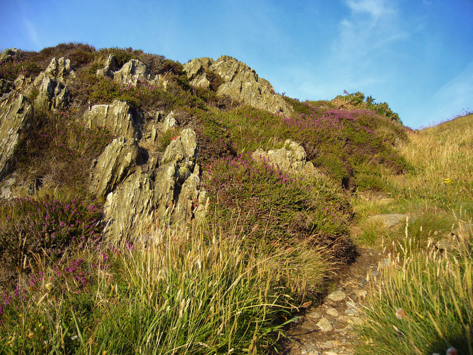 Llaneilian (Amlwch)